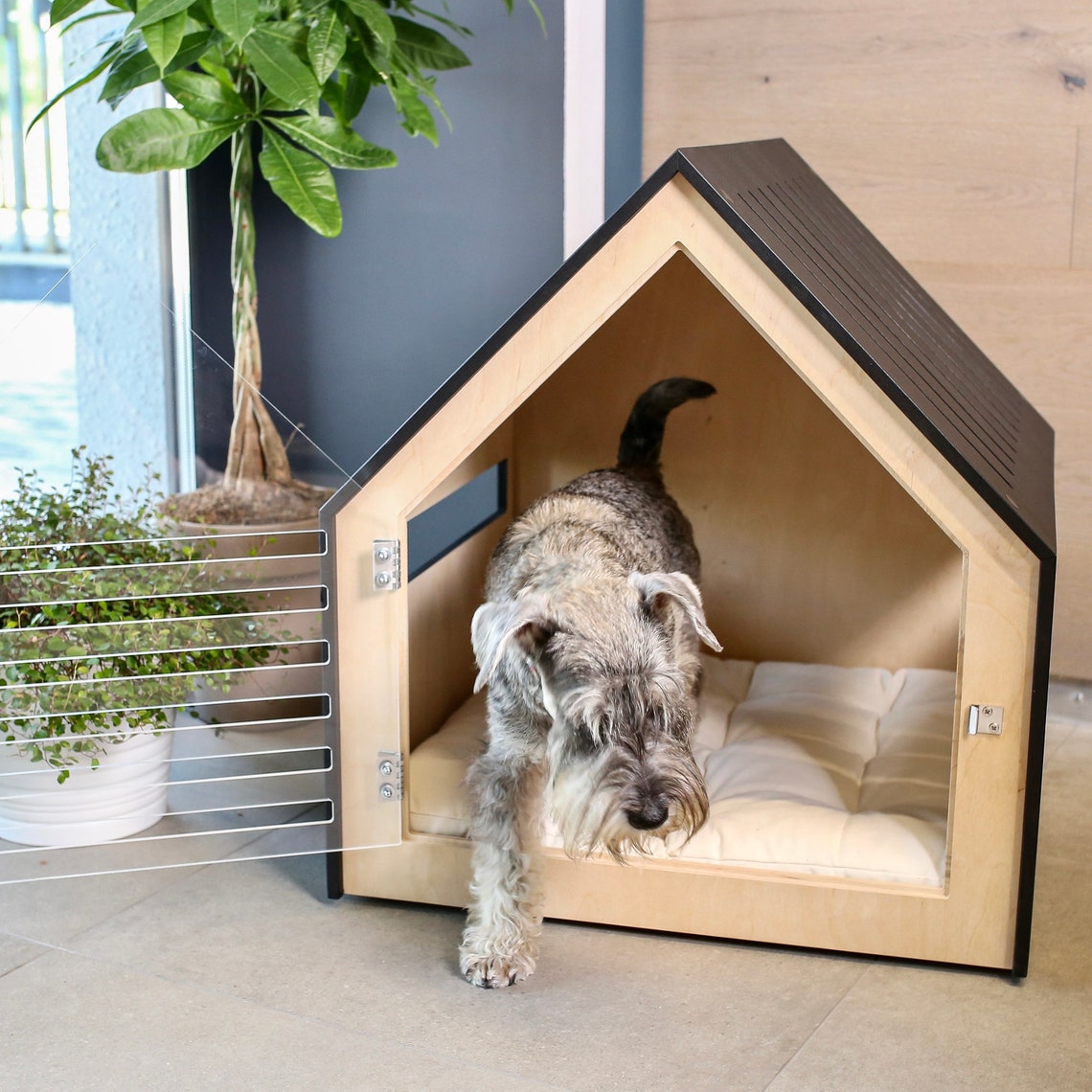 Modern dog and cat house