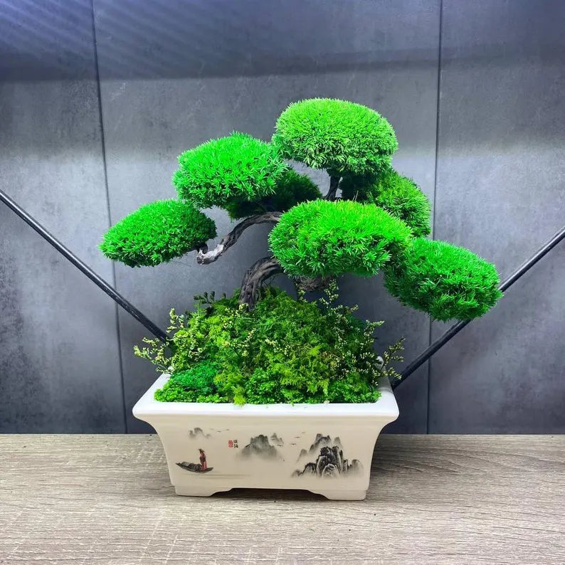 Lucky Moss Bonsai Trees