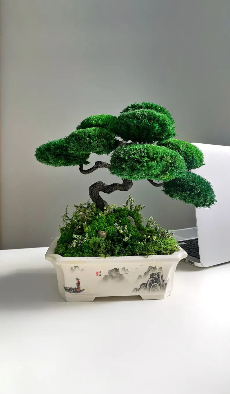 Lucky Moss Bonsai Trees